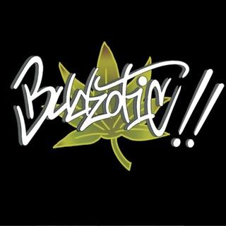 Budzotic store