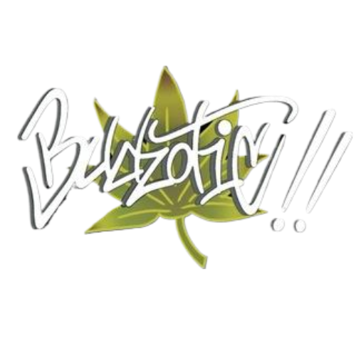 Budzotic Store