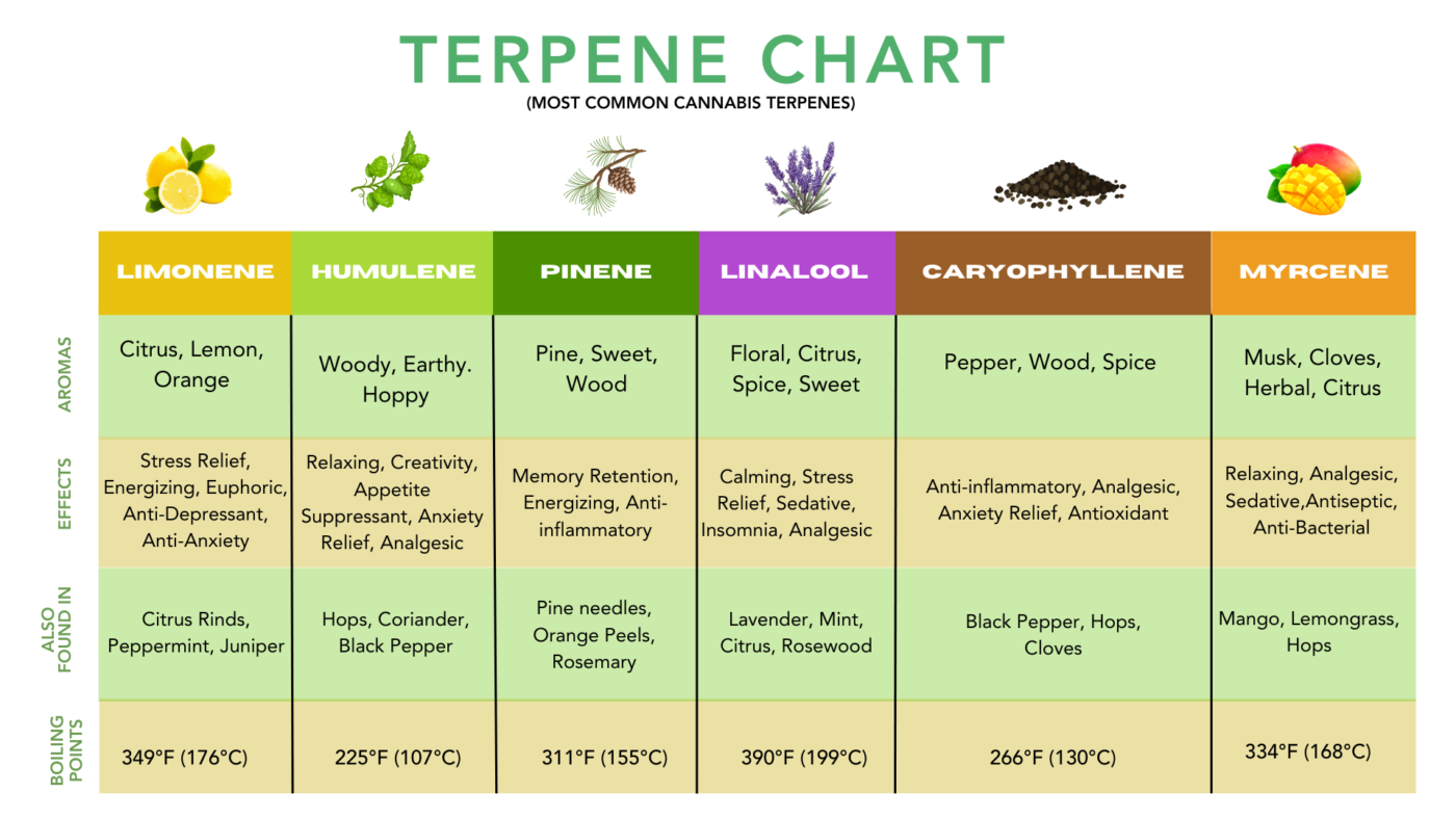 chart of common cannabis terpenes myrcene limonene pinene linalool humulene
