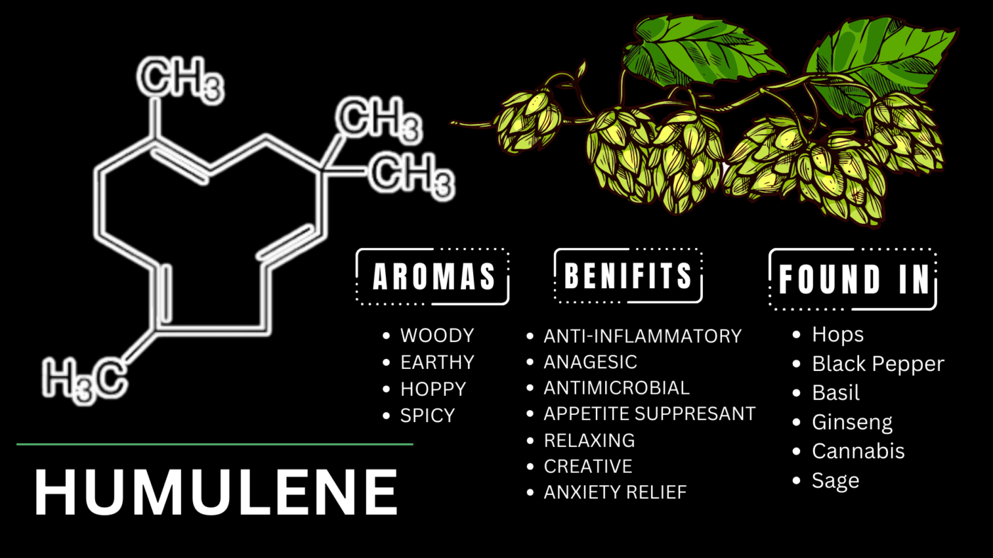 Humulene Cannabis Terpene