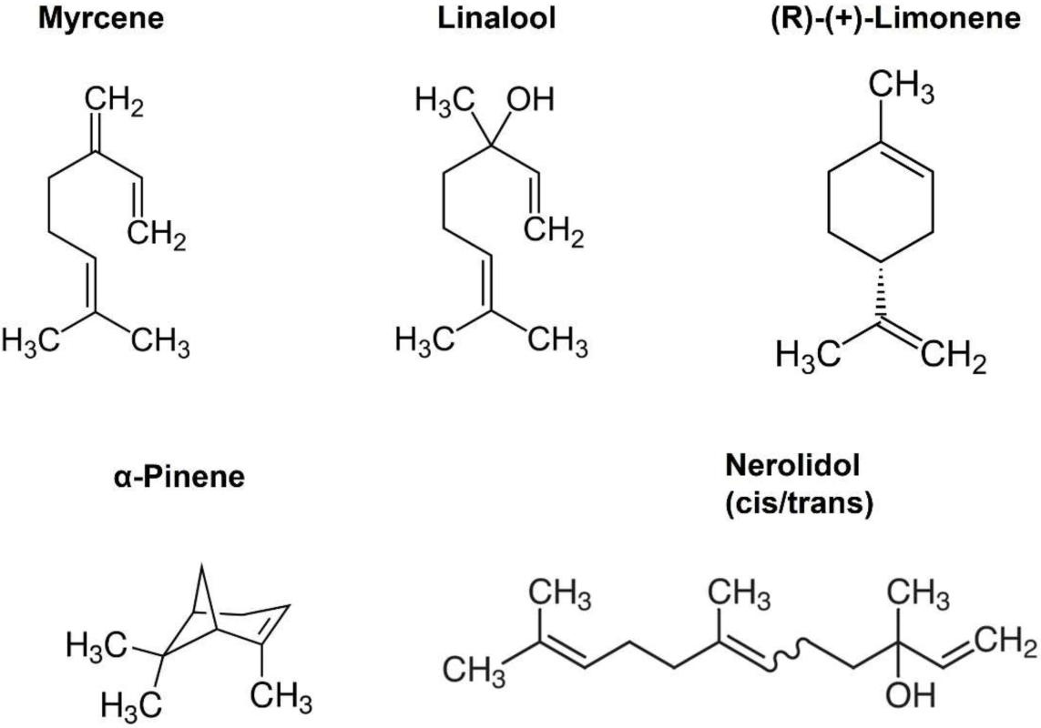 cannabis terpene molecular structure